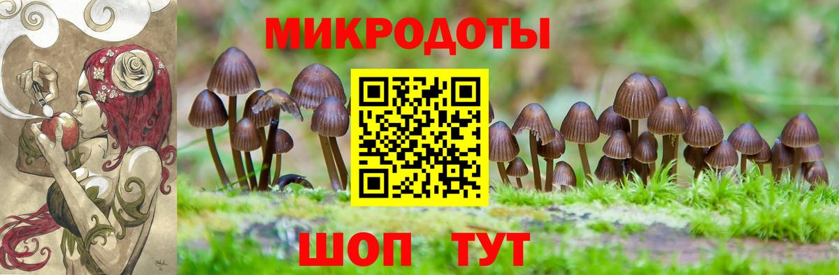 Псилоцибиновые грибы мицелий  Вход с VPN  даркнет сайт  Ступино 